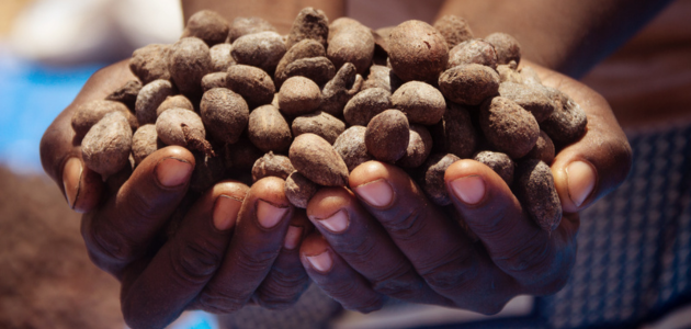 ingrediente manteiga de karit&eacute;