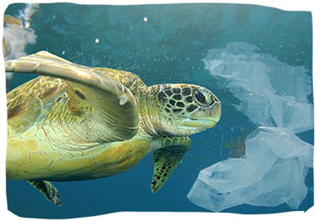 At&eacute; 2050, pode haver mais pl&aacute;stico do que peixes nos oceanos.