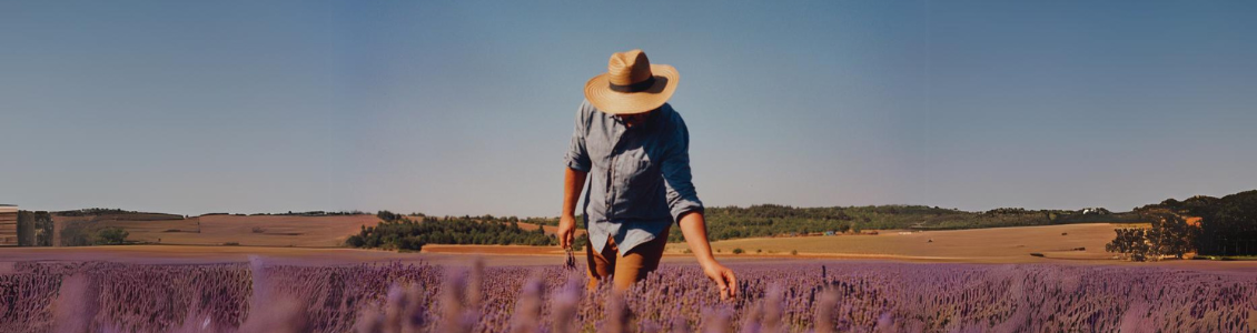 J&eacute;r&ocirc;me Boenle, o nosso produtor de lavanda