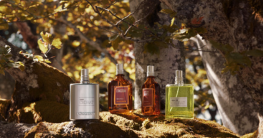perfumes homem