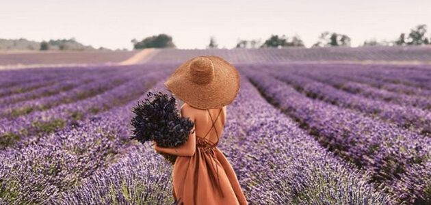 La marque L'Occitane