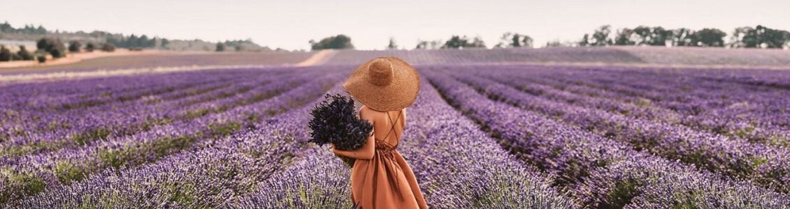 La marque L'Occitane