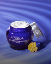 Immortelle Precioso