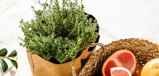 ingredientes naturais