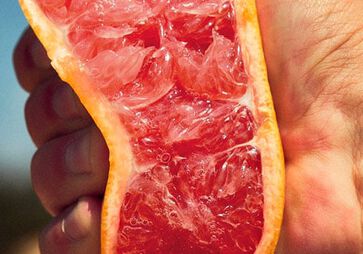 Óleo de Pomelo da Córsega