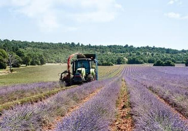 Os nossos produtores
