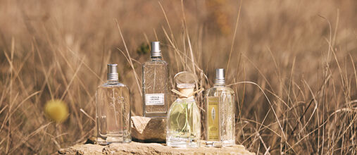 perfumes mulher