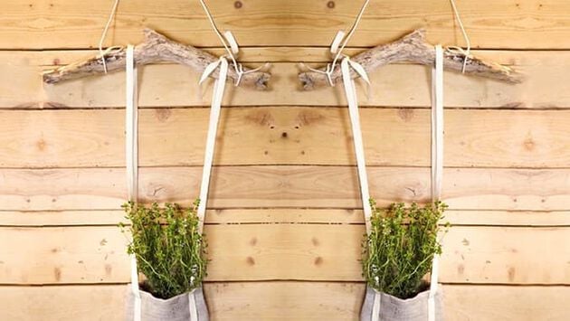 Ver ENCHA-AS COM PLANTAS OU FLORES E PENDURE-AS