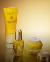 Immortelle Divino