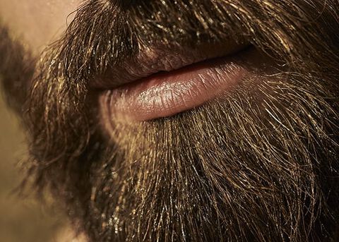 barba comprida