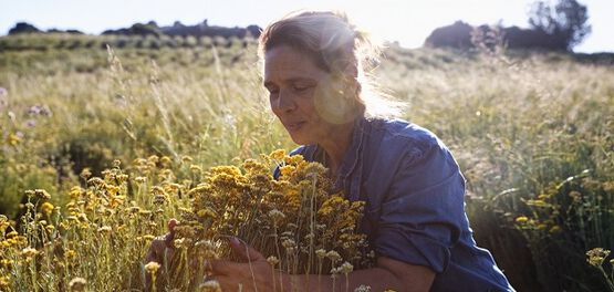 Era uma vez a L'Occitane