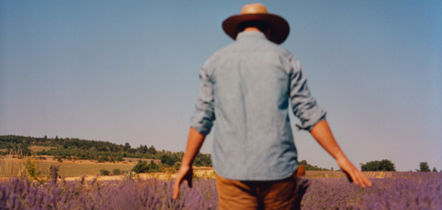 Lavanda fina da Proven&ccedil;a certificada AOP