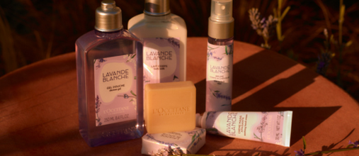 lavanda fina da Proven&ccedil;a