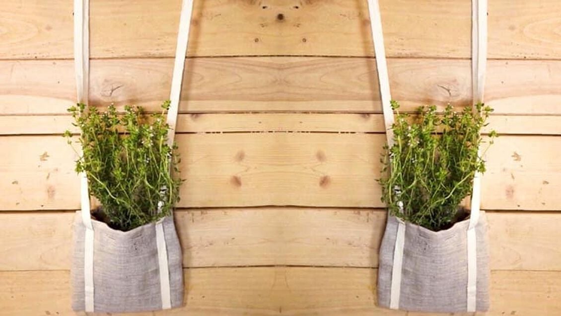 Ver ENCHA-AS COM PLANTAS OU FLORES E PENDURE-AS