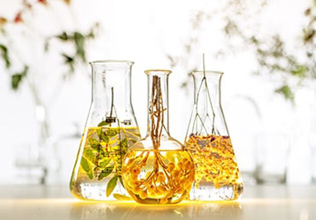 INGREDIENTES UTILIZADOS COM MODERA&Ccedil;&Atilde;O