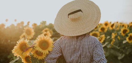 dicas queimaduras sol
