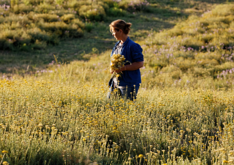 produtora de Immortelle