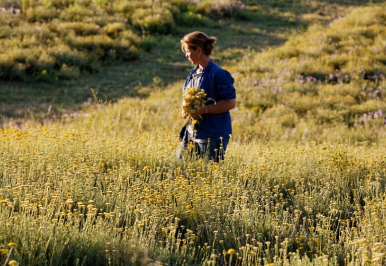 produtora de Immortelle