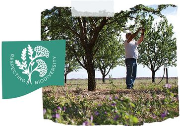 respeitar a biodiversidade