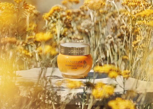 cole&ccedil;&atilde;o immortelle 