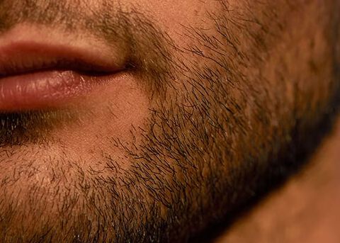 barba curta