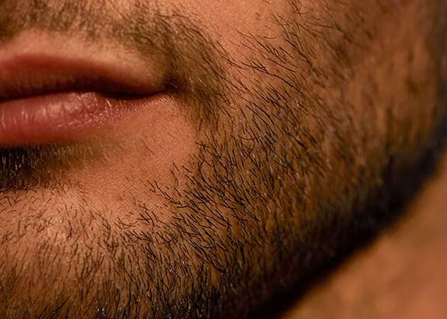barba curta