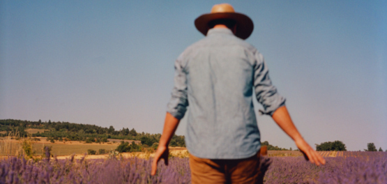 Lavanda fina da Proven&ccedil;a certificada AOP