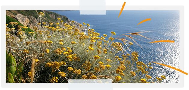 ...Para proteger a biodiversidade dos nossos territ&oacute;rios