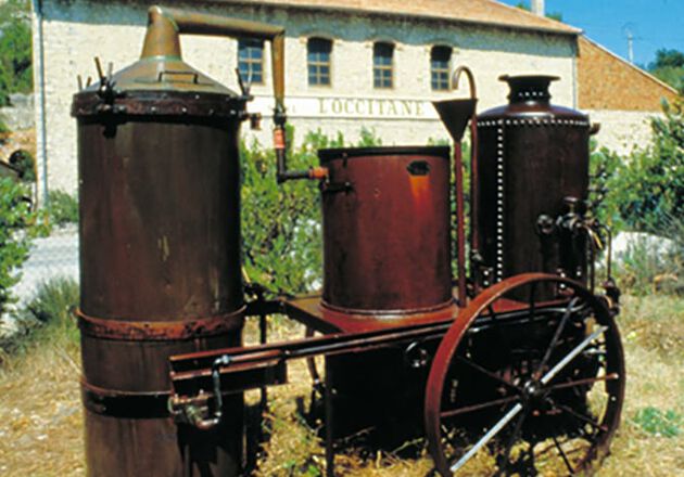 A heran&ccedil;a hist&oacute;rica da L'OCCITANE