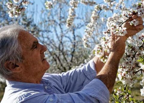  produtor de Am&ecirc;ndoa da L'Occitane
