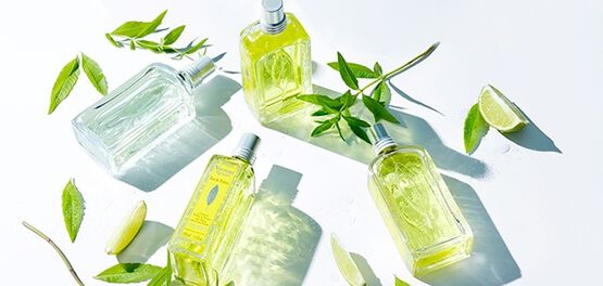 eau de toilette verbena