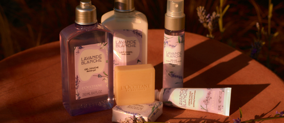 lavanda fina da Proven&ccedil;a