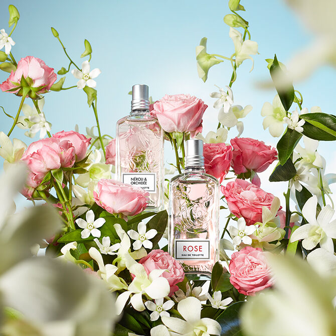 perfumes florais