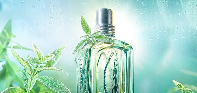 perfume unissexo verbena