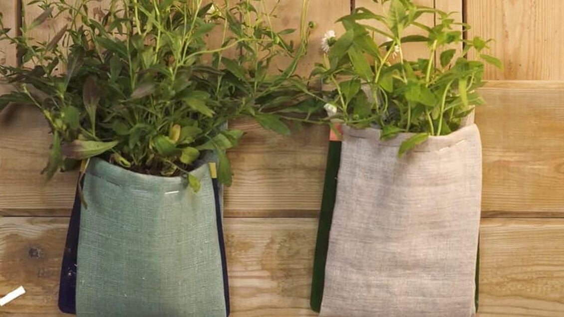 Ver EMBELEZE AS SUAS PLANTAS