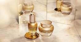 immortelle divino