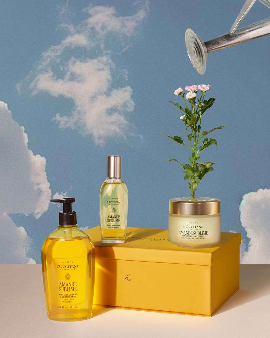 Ver a imagem 4/4 do produto Coffret Presente de Corpo Premium Am&ecirc;ndoa, , RECT