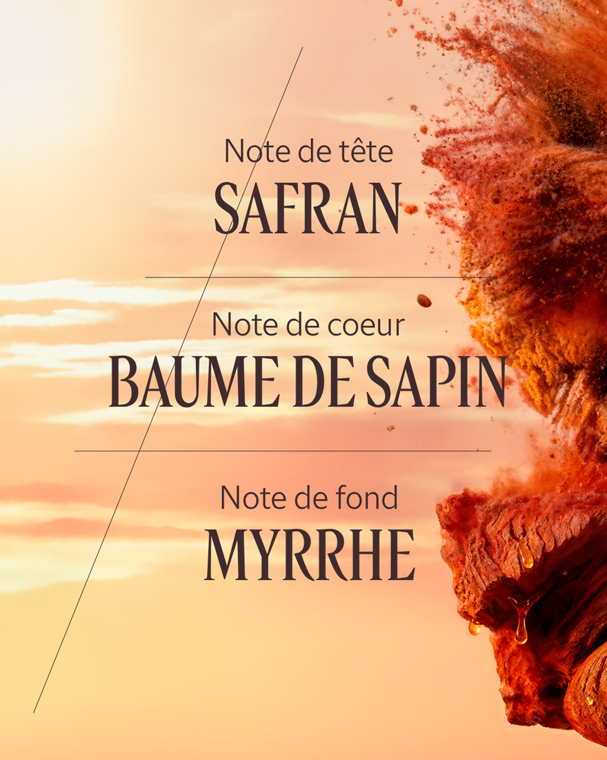 Ver a imagem 4/4 do produto Eau de Parfum Safran Bois&eacute;, , RECT