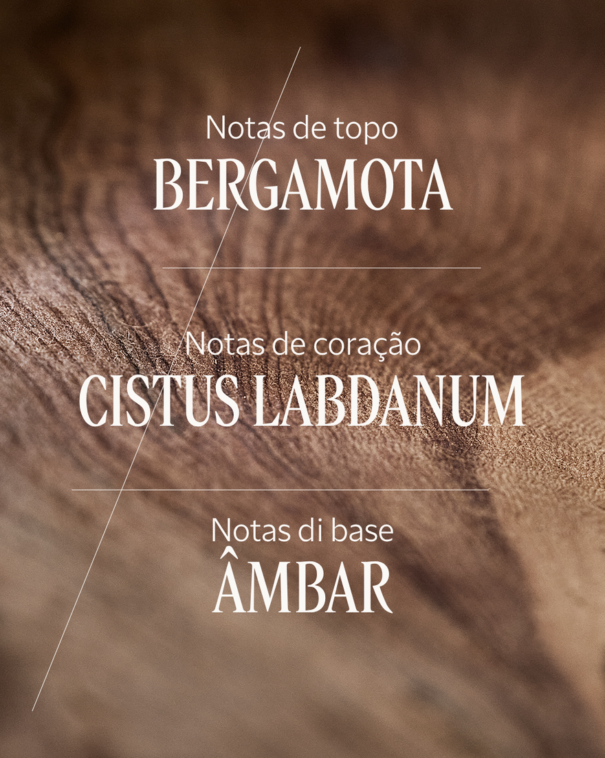 Ver a imagem 4/6 do produto Eau de Parfum Ambre, , RECT