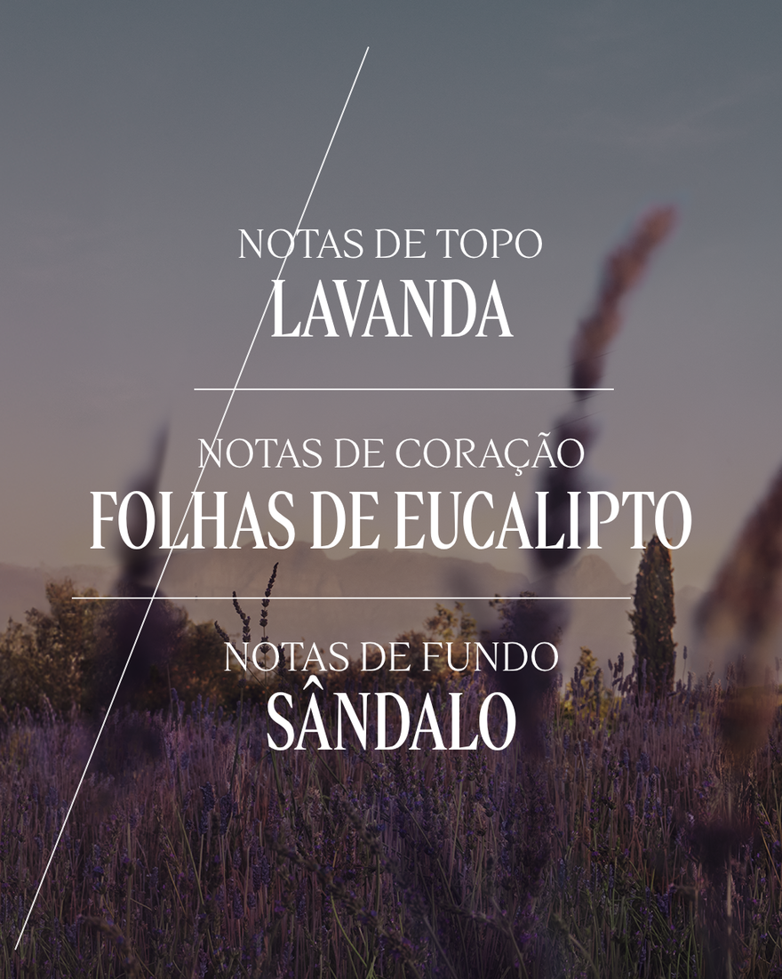 Ver a imagem 5/8 do produto Eau de Toilette Lavande, , RECT
