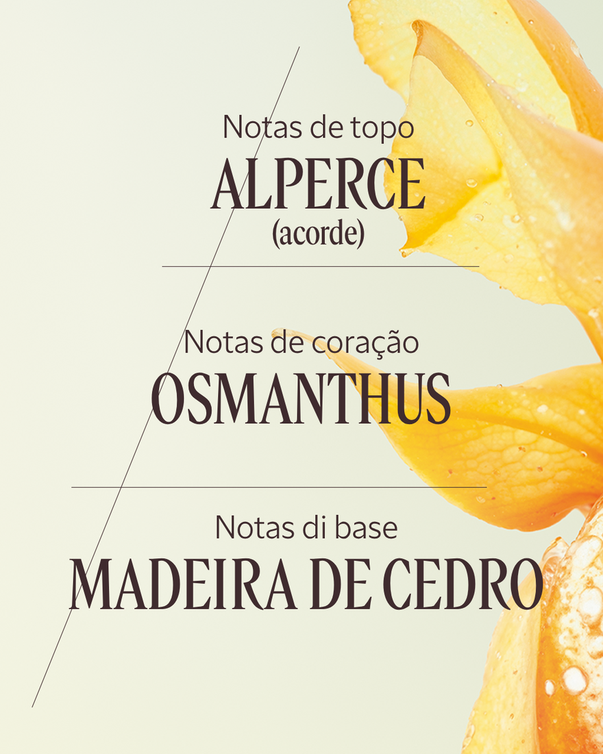 Ver a imagem 4/7 do produto Eau de Toilette Osmanthus Abricot, , RECT