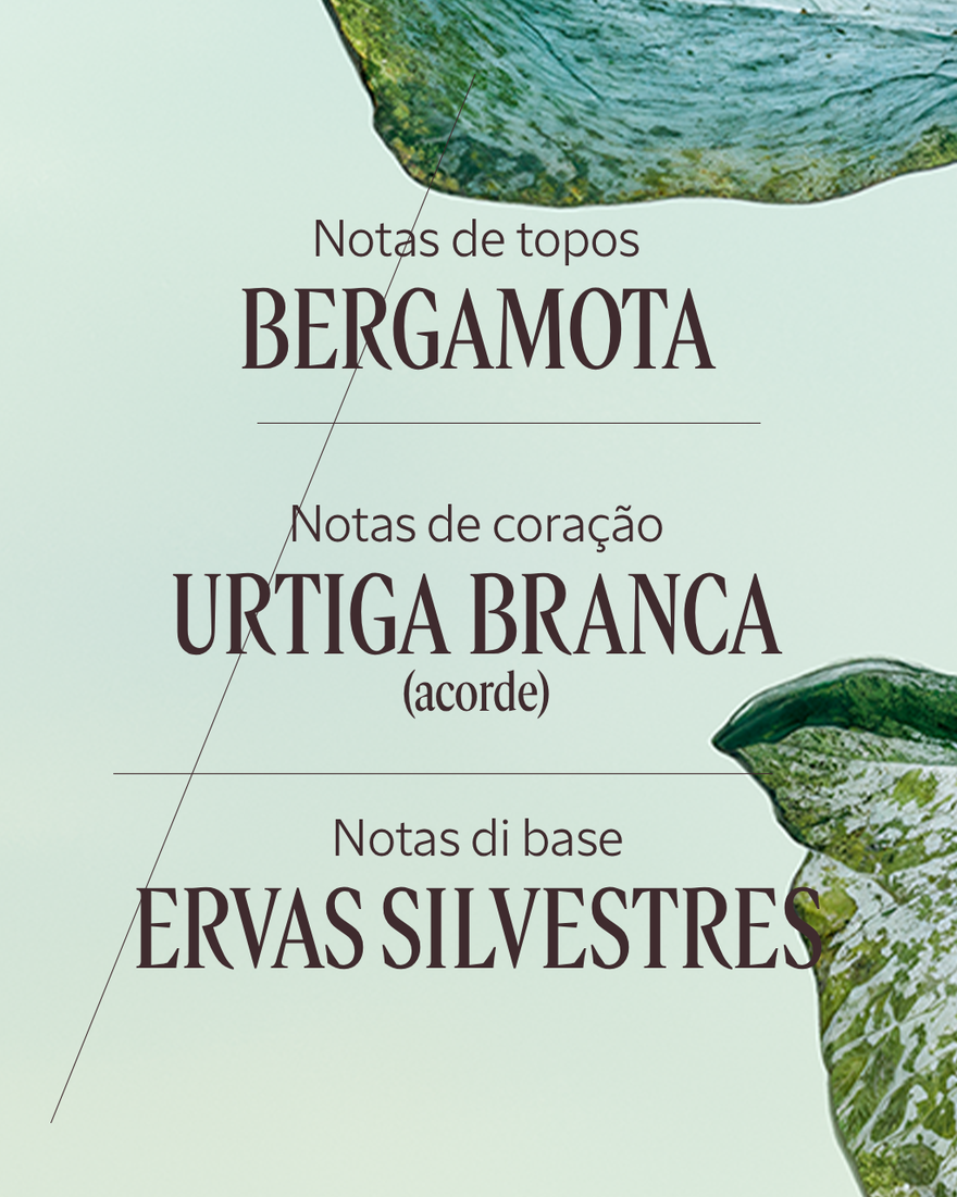 Ver a imagem 4/7 do produto Eau de Parfum Ortie Blanche (Herbae), , RECT