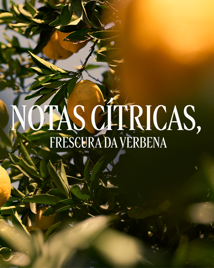 Ver a imagem 4/5 do produto Leite de Corpo Verveine Agrumes, , RECT
