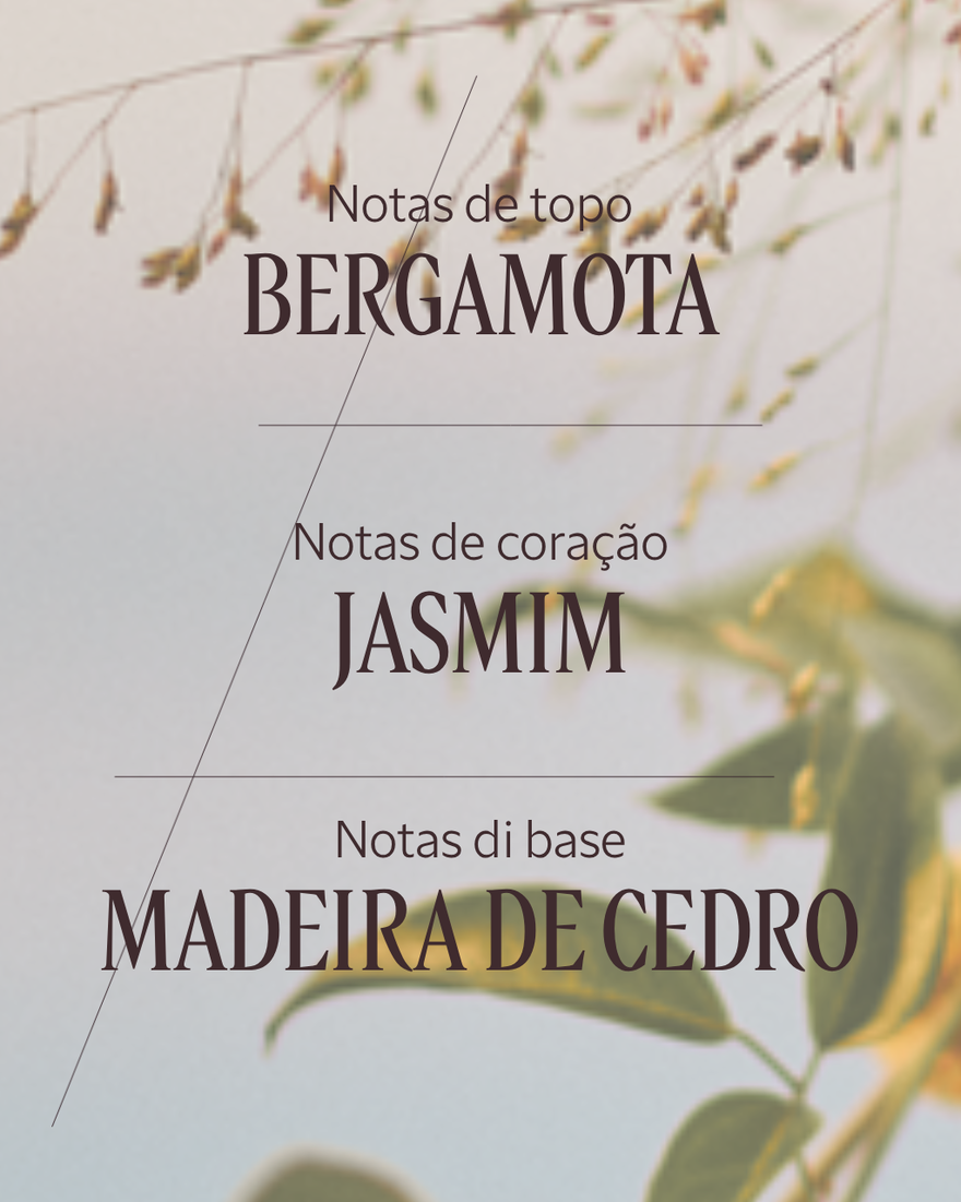 Ver a imagem 4/6 do produto Eau de Toilette Jasmin & Bergamote, , RECT