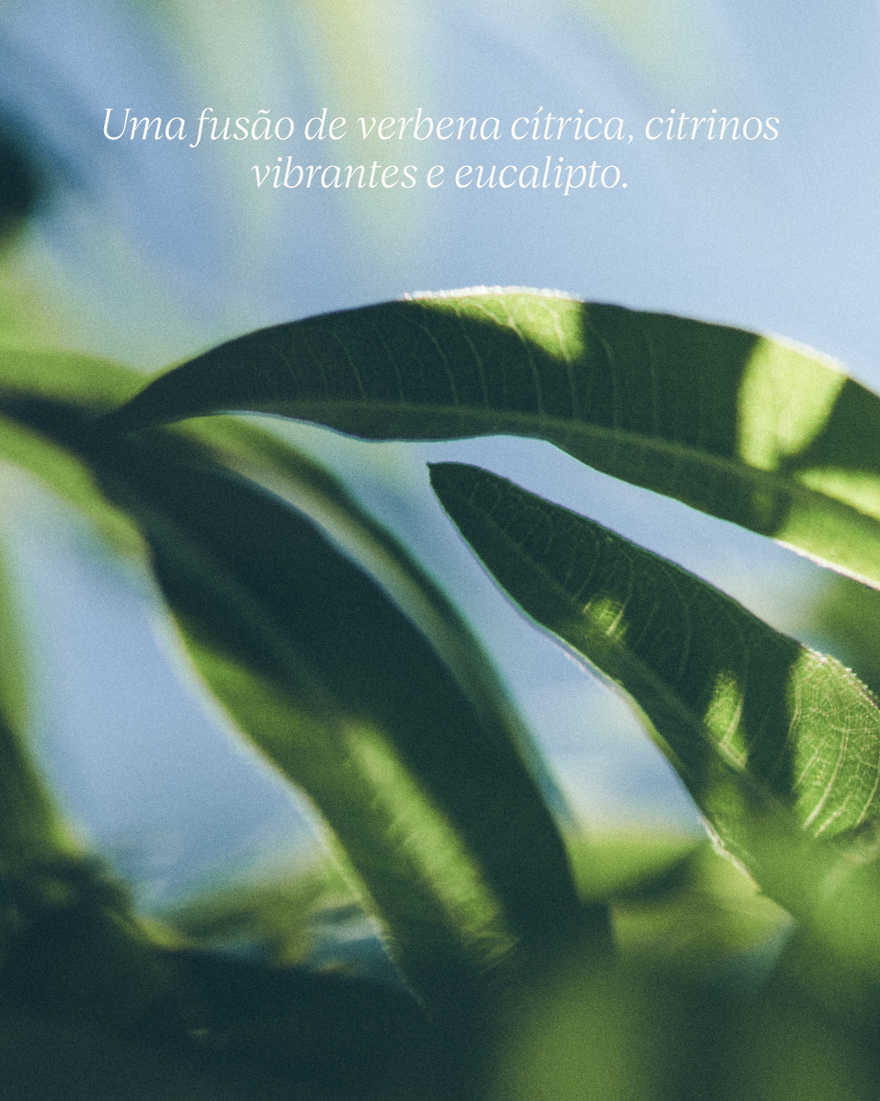 Ver a imagem 6/7 do produto Sabonete L&iacute;quido para M&atilde;os e Corpo Verbena, , RECT