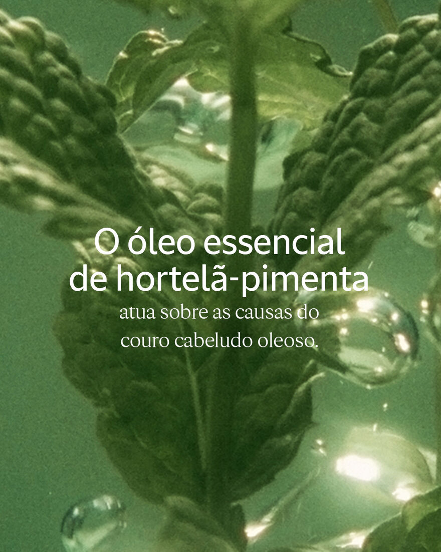 Ver a imagem 5/5 do produto Amaciador Pura Frescura Aromacologia 500ml, , RECT